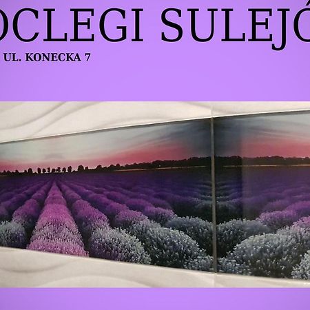 Noclegi Sulejow Bagian luar foto