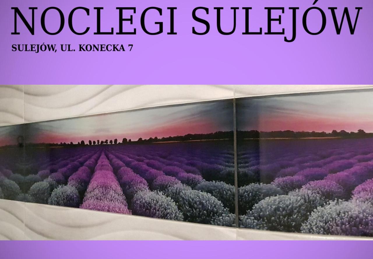Noclegi Sulejow Bagian luar foto